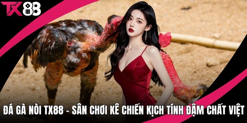Đá Gà Nòi TX88