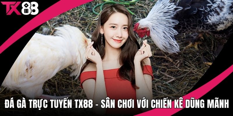 Đá Gà Trực Tuyến TX88