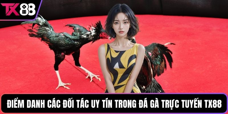 Điểm danh các đối tác uy tín trong đá gà trực tuyến TX88
