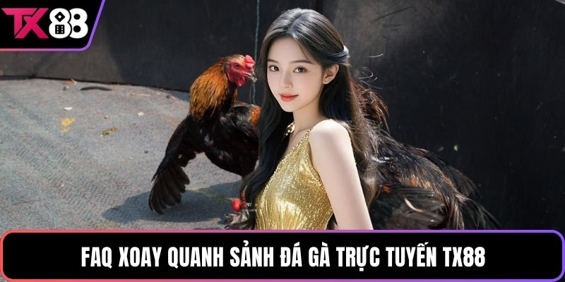 FAQ xoay quanh sảnh đá gà trực tuyến TX88