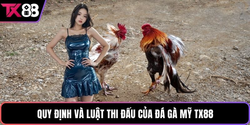 Quy định và luật thi đấu của đá gà Mỹ TX88