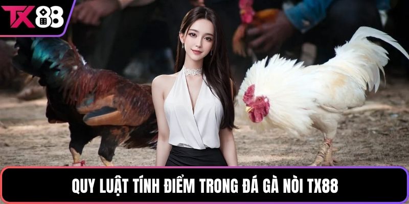 Quy luật tính điểm trong đá gà nòi TX88