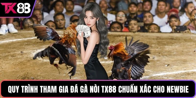 Quy trình tham gia đá gà nòi TX88 chuẩn xác cho newbie